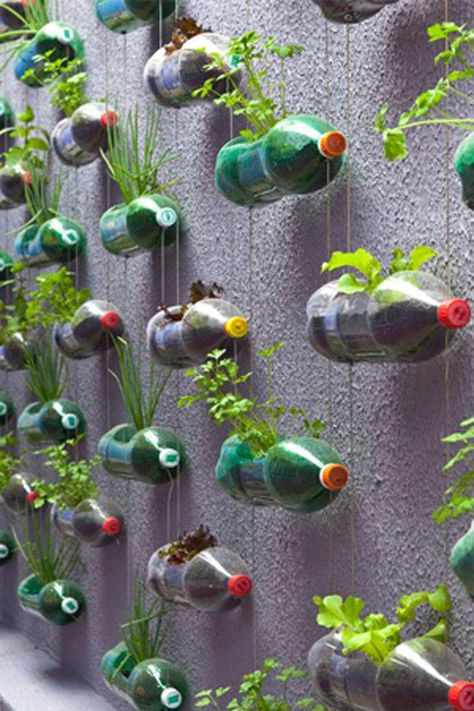 Garding Ideas Diy, Recycle Items, Eco Craft, Diy Garden Landscaping, Garden Magic, Vertical Vegetable Garden, نباتات منزلية, Vertical Herb Garden, Vertical Garden Diy