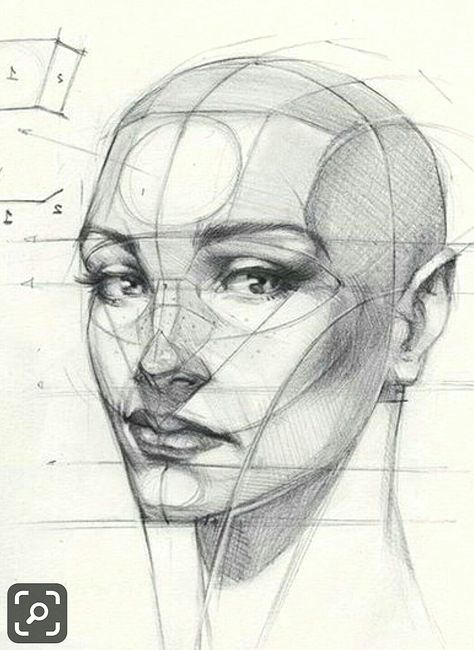 Reilly Head, Imagination Illustration, Drawing Proportions, Portrait Au Crayon, Neck Drawing, Draw Portrait, Face Proportions, Draw Human, Human Anatomy Drawing