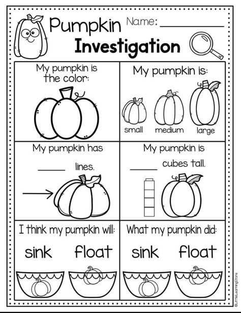 Pumpkin Activities For Preschool, Pumpkin Lesson Plans, Pumpkin Activities Preschool, October Lesson Plans, Preschool Pumpkin, Pumpkin Investigation, Pumpkin Lessons, Pumpkins Preschool, Pumpkin Coloring