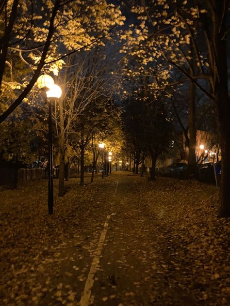 Dark Autumn, Autumn Night, Season Of The Witch, Autumn Scenery, Best Seasons, Fall Pictures, Autumn Cozy, Autumn Aesthetic, Night Aesthetic