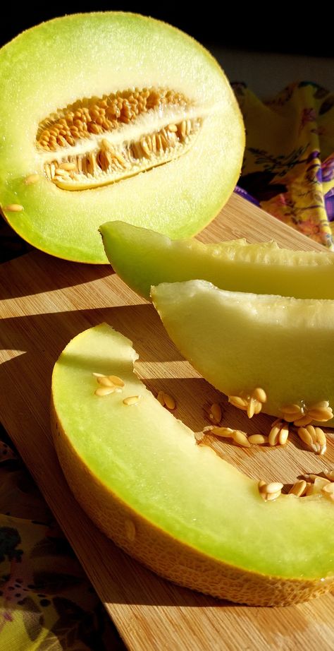 Melone aesthetic Honeydew Fruit, Melon Musk, Fruit Summer, Honeydew Melon, Fruit Photography, Colorful Fruit, Fruit Drinks, Mixed Fruit, Delicious Fruit