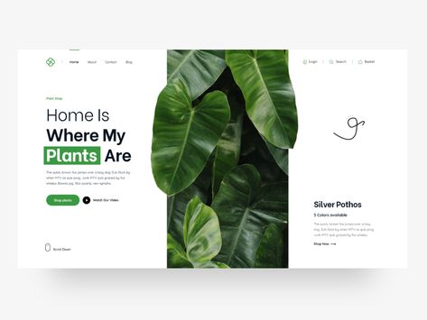 Plants Shop Plant Website Design Inspiration, Plant Website Design, Nature Website, Growing A Business, Inmobiliaria Ideas, Buy Plants Online, Graphisches Design, Plant Shop, Homepage Design