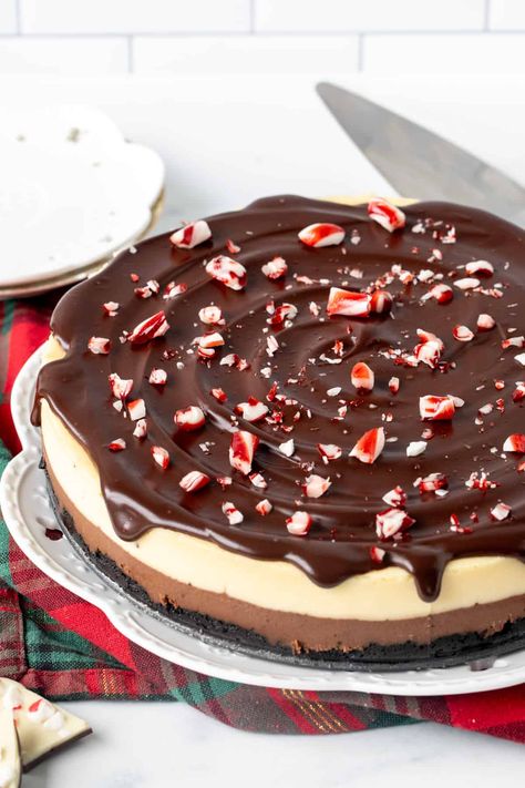 Candy Cane Cheesecake, White Chocolate Peppermint Cheesecake, Peppermint Cheesecake Recipes, Peppermint Bark Cheesecake, Classic Christmas Treats, Oreo Crust Cheesecake, Peppermint Cheesecake, White Chocolate Cheesecake, Cheesecake Toppings