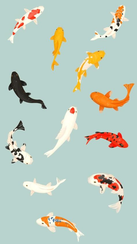 Koi Fish Color Palette, Simple Koi Fish Painting, Fish Homescreen, Aesthetic Koi Fish, Koi Fish Aesthetic, Koi Fish Poster, Koi Fish Wallpaper, Koi Fish Illustration, Koi Wallpaper