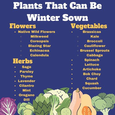 Garden Ideas Winter Cold Weather, Plants That Grow In The Winter, Fall/winter Gardening, Seeds To Plant In January, Vegetables To Plant In January, Flowers To Grow In Winter, Winter Gardening Indoor, What To Plant In The Winter, Winter Sowing Vegetables Zone 6