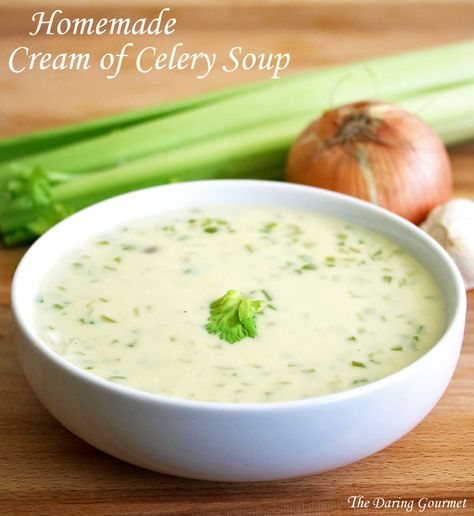 Homemade Cream of Celery Soup.  Delicious on its own or used in any recipe calling for canned condensed soup.  daringgourmet.com Homemade Cream Of Celery Soup, Kielbasa Soup, Celery Recipes, Cream Soup Recipes, Cream Of Celery, Condensed Soup, Soup Appetizers, Cream Of Celery Soup, Celery Soup