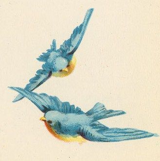 Blue Bird Illustration Vintage, Two Blue Birds, Bird Art Flying, Vintage Blue Bird Art, Flying Bird Art Painting, Bird Painting Flying, Vintage Bird Drawing, Flying Birds Illustration, Blue Birds Painting