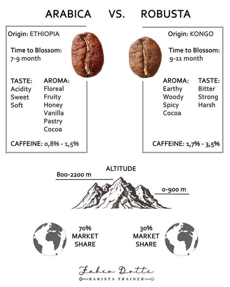 Roasters & Cafe Daily | Coffee en Instagram: “What do you guys think 💭?☕️. Arabica ✖️ Robusta. 👉🏻Follow @roasterdaily FOR MORE. •Save This Post For Future 💡 •Double Tap Show Some Love…” Coffee Barista Art, Coffee Content, I Love Coffe, Coffee Chart, Arabica Robusta, Espresso Love, Working At Starbucks, Cafe Barista, Cafe Menu Design