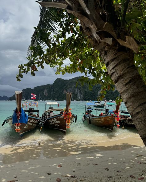 resumen de estos días en las islas phi phi: 🤒🛶🏝️🤿🌊🐒🌧️