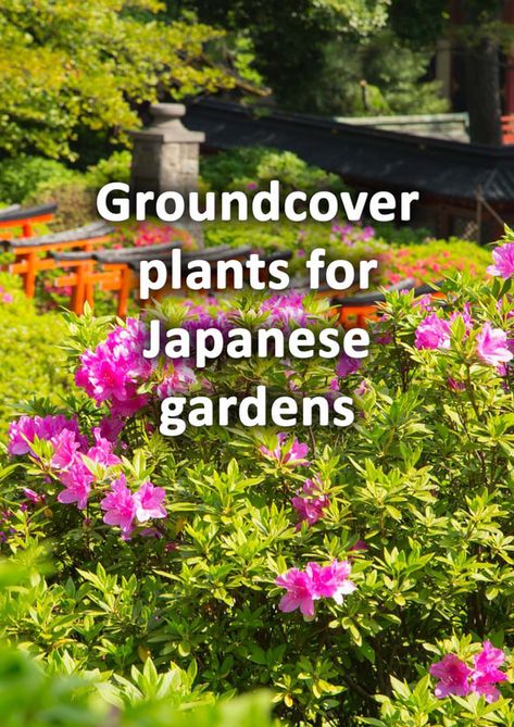 How to make a Japanese garden - An illustrated guide - BUCKINGHAMSHIRE LANDSCAPE GARDENERS Small Space Japanese Garden, Plants For A Japanese Garden, Garden With Japanese Maple, Japanese Garden Design Modern, Japanese Garden Design Layout, Modern Japanese Garden Landscapes, Japanese Backyard, Japanese Maple Garden, Japanese Garden Backyard