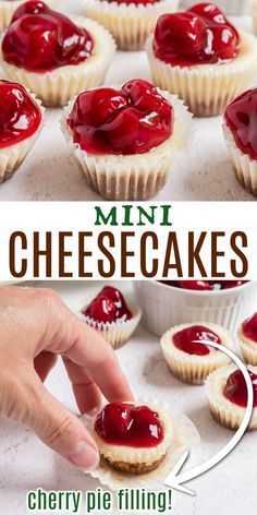 These Mini Cherry Cheesecakes show up at all holidays in our family. Just like a full-size cheesecake, these bite-sized treats are packed with creamy flavor! Add your favorite pie filling topper! Cherry Desert Ideas, Mini Muffin Cheesecake Bites, Cheesecake Bites Recipes, Cherry Cheesecake Bites, Original Cheesecake, Holiday Deserts, Mini Cherry Cheesecakes, Cherry Cheesecake Recipe, Mini Cheesecakes Easy