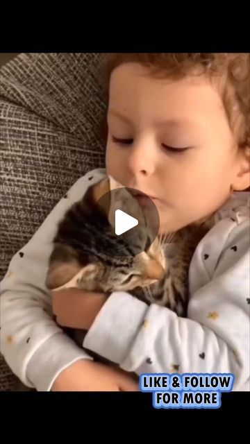 funny animals on Instagram: "#catlover #catlove #cats #petlover #love #explore #exploremore #viralreels" Cats And Babies, Animal Hugs, Cute Dogs And Puppies, Cute Cats And Dogs, Funny Cat Videos, Cat Gif, Cute Funny Animals, Cat Life, Cat Love