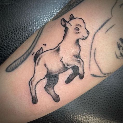 Lamb Chop Tattoo, American Traditional Lamb Tattoo, Traditional Lamb Tattoo, Black Sheep Tattoo, Lamb Tattoo, Chicken Tattoo, Sheep Tattoo, Traditional Flash, Fox Tattoo