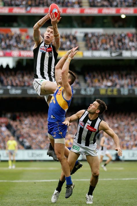 Australian Rules Football, Aussie Rules Football, Australian Football Aesthetic, Football Australia, Afl Players, Collingwood Magpies, Collingwood Football Club, Australian Football League, West Coast Eagles