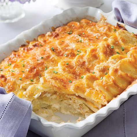 Scalloped Potatoes Paula Deen, Easy Cheesy Scalloped Potatoes, Homemade Scalloped Potatoes, Cheesy Scalloped Potatoes Recipe, Best Scalloped Potatoes, Creamy Scalloped Potatoes, Scalloped Potatoes Easy, Cheesy Scalloped Potatoes, Scalloped Potatoes And Ham