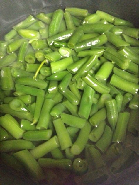 Indian Green Beans, Beans For Babies, Baby Food Homemade, Green Bean Baby Food, Boil Green Beans, Steamed Green Beans, Bush Beans, Baby Puree Recipes, Baby Puree