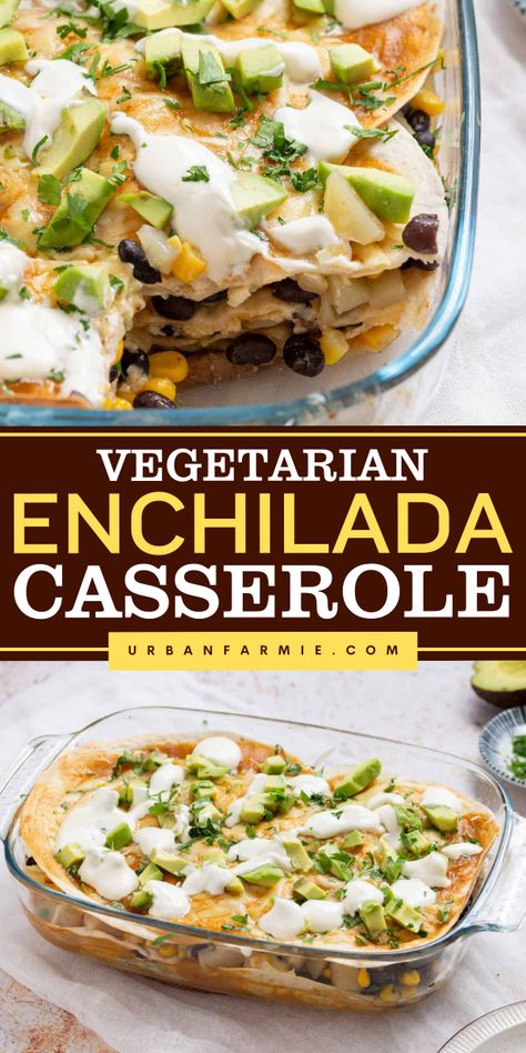 My vegetarian enchilada casserole is a cozy, cheesy comfort meal with hearty veggies and homemade enchilada sauce. Perfect for busy weeknights. Vegan Enchilada Casserole, Vegan Casserole Recipes, Vegetarian Enchilada, Vegetarian Enchilada Casserole, Vegetable Enchiladas, Vegan Enchiladas, Vegan Casserole, Vegetarian Enchiladas, Enchilada Casserole Recipes