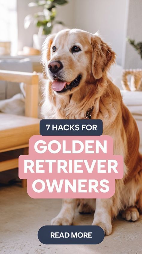 Golden Retriever Essentials, Puppy Hacks, Golden Retriever Care, Golden Retriever Puppy Training, Golden Retrievers Puppies, Golden Retriever Quotes, Golden Retriever Grooming, Golden Retriever Owner, Golden Retriever Funny