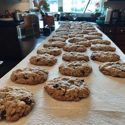 Baked Oatmeal Raisin Cookies Cake Like Oatmeal Cookies, Thick And Chewy Oatmeal Raisin Cookies, Best Soft And Chewy Oatmeal Raisin Cookies, Large Oatmeal Raisin Cookies, Raisin Oatmeal Cookies Chewy, Jumbo Raisin Cookies, Jumbo Oatmeal Raisin Cookies, Thick Oatmeal Raisin Cookies, Oatmeal Raisin Cookies With Molasses