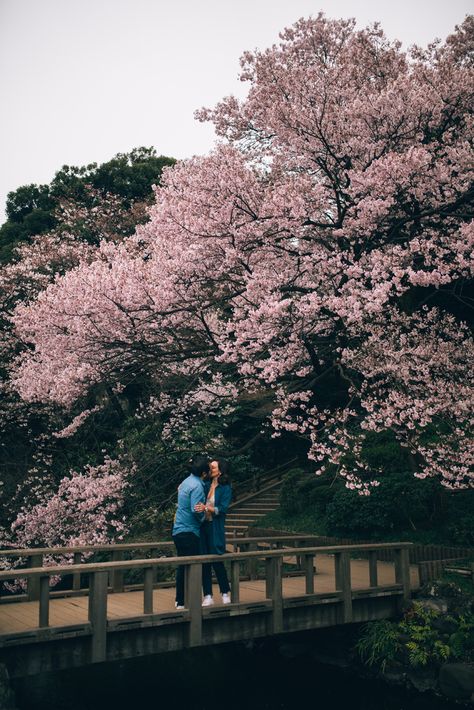 spring Japan sakura Shinjuku Gyoen garden couple shoot cherry blossom Cherry Blossom Proposal, Couple Japan, Couples In Japan, Japan Proposal, Japan Couple Aesthetic, Couple In Japan, Cherry Blossom Couple, Cherry Blossom Engagement, Couple Cherry Blossom