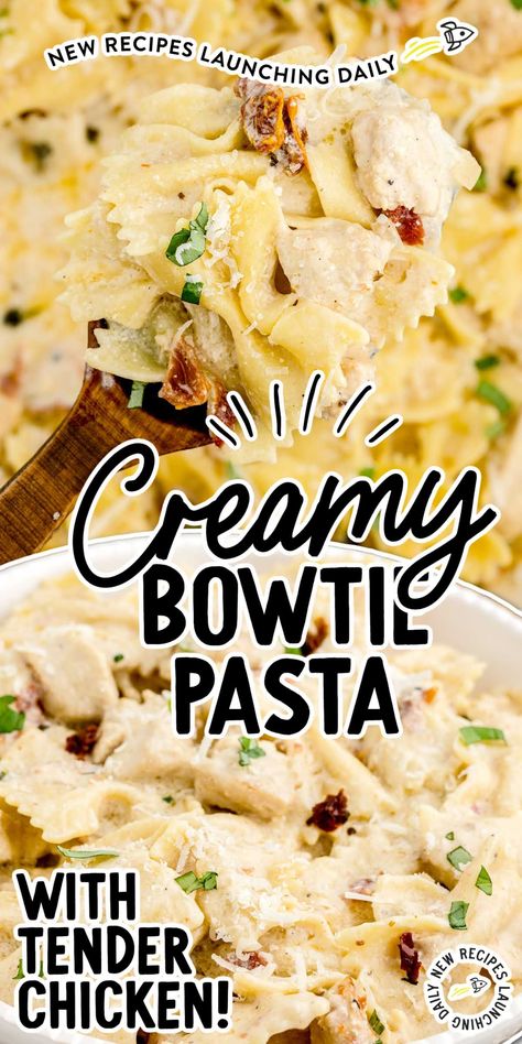 Mini Farfalle Recipes Pasta Dishes, Chicken And Bowtie Pasta Recipes, Chicken Bowtie Pasta Recipes, Bowtie Pasta Recipes Easy, Creamy Bowtie Pasta, Bowtie Pasta Recipe, Bowtie Pasta Recipes, Bow Tie Pasta Recipes, Chicken Bowtie Pasta