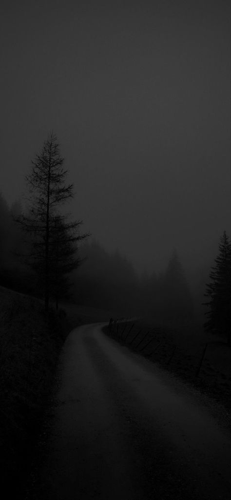 Dark Black Wallpaper, Dark Background Wallpaper, Dark Landscape, Black Wallpaper Iphone Dark, Black Phone Wallpaper, Dark Nature Aesthetic, Night Scenery, Dark Phone Wallpapers, Dark Pictures