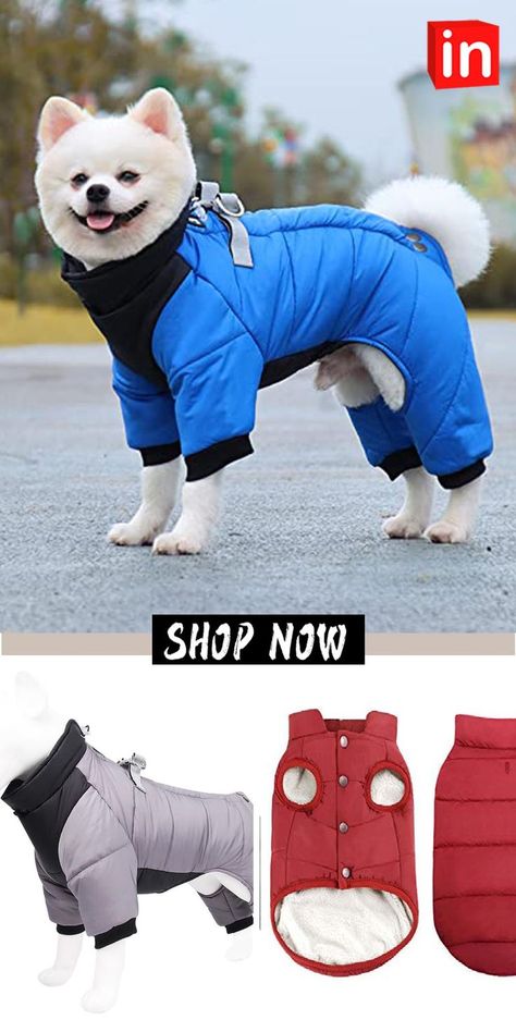 Winter Dog Coat with Leg D-Ring Waterproof Reflective Costume Puppy Dog Jacket Outfits Windproof Snowsuit Warm Cotton Lined Winter Clothes for Small Medium Dogs Apparel (XL, Blue) Coat Waterproof, Dog Winter, Dog Winter Clothes, Dog Winter Coat, Pet Dress, Dog Coat, Dog Jacket, Winter Dog, Selling Products