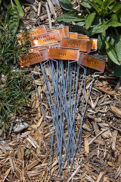 How to stamp copper plant markers with garden plant names. Metal Garden Markers, Garden Plant Labels, Stamped Plant Markers, Name Tags For Plants, Garden Markers Ideas, Metal Plant Labels For Garden, Diy Garden Markers Plant Labels, Garden Stakes Ideas Plant Markers, Diy Plant Name Tags