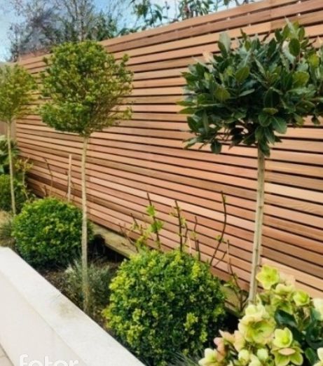 Slatted Fence Front Garden, Garden Wall Wood Cladding, Modern Garden Fencing, Garden Fencing Design, Garden Slatted Fence, Slat Fencing Horizontal, Cedar Wall Exterior, Modern Contemporary Garden, Courtyard Fencing Ideas