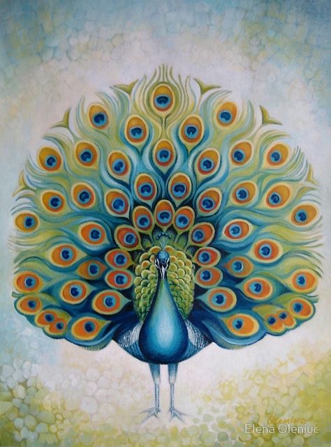 "Peacock" Photographic Prints by Elena Oleniuc | Redbubble Peacock Canvas, Peacock Images, Peacock Wall Art, Peacock Decor, Peacock Painting, Peacock Art, Soyut Sanat Tabloları, Peacocks, Fabric Painting