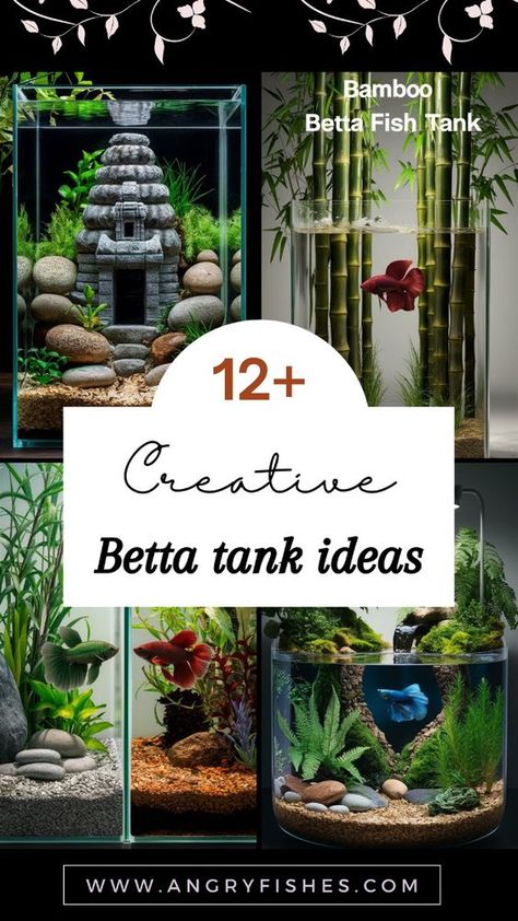 Find inspiration with these betta fish tank ideas that are sure to captivate any aquarium lover. Whether you’re a beginner or an experienced hobbyist, our guide offers a variety of stylish and innovative betta tank designs to enhance your aquarium. Don’t miss out on these fantastic ideas—click to explore! Multiple Fish Tank Setup, Betta Fish Aquarium Ideas, Beta Tank Ideas, Diy Betta Fish Tank Ideas, Betta Tank Ideas, Small Fish Tank Ideas, Small Aquarium Ideas, Cute Fish Tank Ideas, Fish Tank Themes Ideas