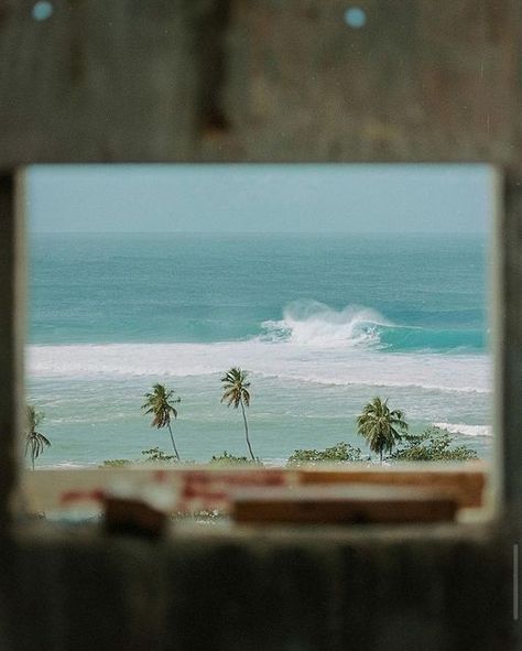 Frame Within A Frame, Number 15, End Of The Year, A Frame, The View, The End, The Year, On Instagram, Pins