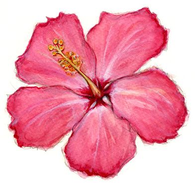 Painting Ideas Hibiscus, Hibiscus Flower Watercolor Painting, Habisquis Flower Drawing Easy, Painted Hibiscus Flower, Hawian Flowers Drawings, Hibiscus Flower Painting Easy, Hibiscus Painting Easy, Hubiskis Flower, How To Draw Hibiscus Flower