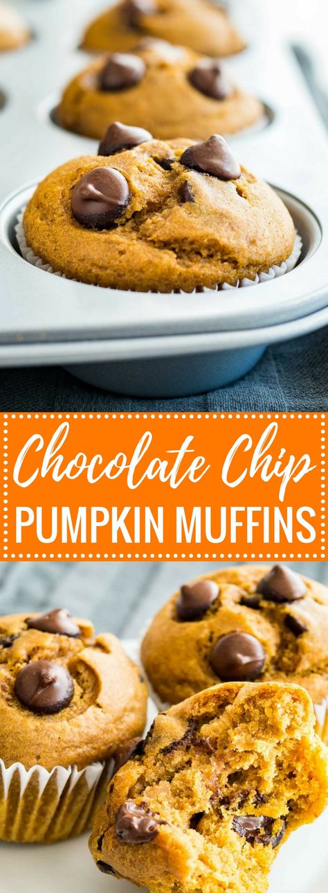 These Pumpkin Chocolate Chip Muffins make a great breakfast, snack, or lunchbox treat! With just the right balance of flavors and loaded with chocolate chips, these easy pumpkin muffins are sure to be a crowd-pleaser. Chocolate Chip Pumpkin Muffins, Easy Pumpkin Muffins, Chocolate Pumpkin Muffins, Muffins Pumpkin, Pumpkin Muffins Easy, Pumpkin Chocolate Chip Muffins, Lunchbox Treats, Dairy Free Chocolate Chips, Chocolate Pumpkin