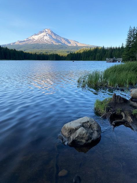 Mt Hood Photography, Nature, Mt Hood National Forest, Batman Profile Picture, Batman Profile, Mount Hood Oregon, Mount Hood National Forest, Mt Hood Oregon, Trillium Lake