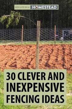 Cheap Fencing, Garden Fencing Ideas, Fence Gardening, Garden Scarecrow, Cheap Garden Fencing, Diy Dog Fence, Small Garden Fence, Garden Edger, Blueberry Gardening