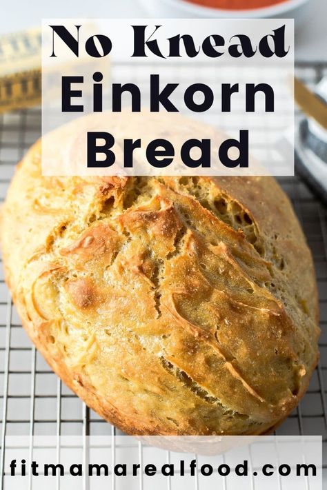 Bread Dutch Oven, Fancy Bread, Ancient Grains Bread, Einkorn Bread, Einkorn Recipes, Impress Yourself, Sandwich Sauces, Dutch Oven Bread, Einkorn Flour