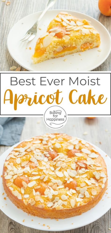 Austrian Apricot Cake, Almond And Apricot Cake, Apricot Pudding Recipe, Almond Apricot Cake, Recipes For Fresh Apricots, Desserts With Apricots, Apricot Preserves Dessert, German Apricot Cake, Apricot Coffee Cake Recipe