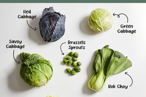 7 Different Types of Cabbage and How to Cook Them | Kitchn Napa Cabbage Recipes, Cabbage Varieties, Types Of Cabbage, Leafy Salad, Leafy Green Salads, Shredded Carrots, Savoy Cabbage, Salad Greens, Veg Dishes