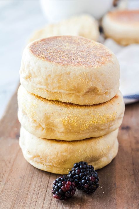 No Knead English Muffins, Ricotta English Muffin, Fluffy English Muffins, Cornmeal English Muffins, Blackstone English Muffins, High Fiber English Muffin Recipe, Overnight English Muffins, Buttermilk English Muffins, Quick English Muffin Recipe