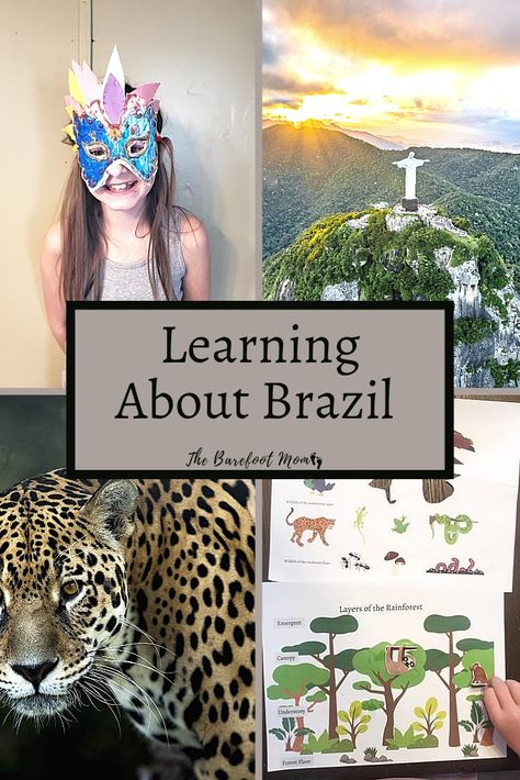 South America Activities For Preschool, Brazil Preschool Activities, Amazon Rainforest Activities, Amazon Rainforest Crafts For Kids, Brazil Crafts For Preschool, Brazil Art Projects For Kids, Amazon Rainforest Crafts, Brazil Activities For Kids, South America Crafts For Kids