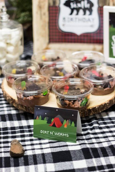 Smore Party, Cabin Birthday, Happy Camper Birthday Party, Australian Party, Camping Theme Birthday Party, Camping Theme Birthday, Indoor Camping, Lumberjack Birthday, Bear Recipes