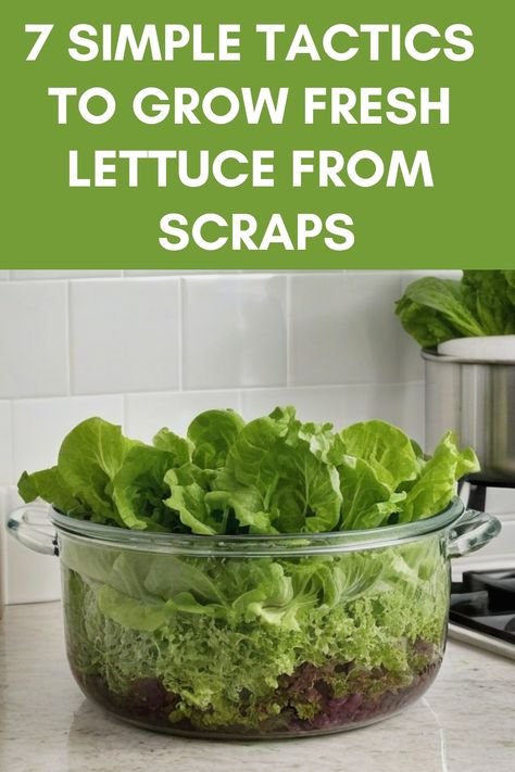 Learn how to grow lettuce from scraps with these easy steps! Reduce food waste and enjoy fresh, homegrown greens. Whether you have a backyard garden or simply a sunny windowsill, you can easily propagate lettuce from leftover scraps. Discover the simple pleasure of harvesting your own lettuce at home by following our step-by-step guide. It's a fun and sustainable way to enhance your meals with just a little bit of effort. Join the growing trend of regrowing vegetables indoors and start your own Grow Romaine Lettuce Scrap, How To Make Lettuce Last Longer, Growing Lettuce From Scraps, Regrow Vegetables From Scraps, Regrowing Vegetables, Regrow Lettuce, Romaine Lettuce Growing, How To Grow Lettuce, Grow Lettuce