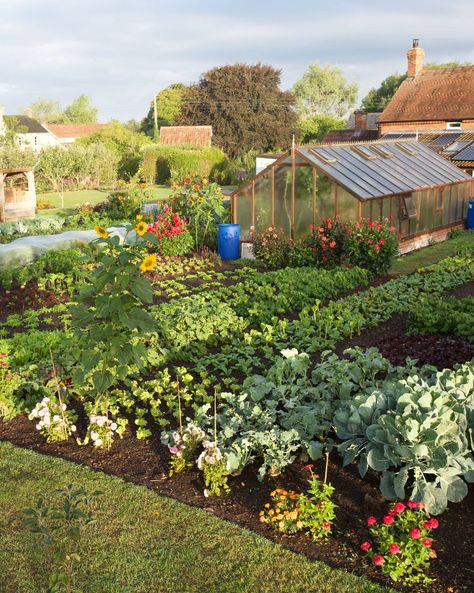 Kitchen Garden Inspiration, Homestead Vegetable Garden, Field Garden Ideas, Vegetable Patch Design, Vegetable Garden In Ground, Family Compound Ideas, Backyard Food Garden, Garden In Ground, Food Garden Design