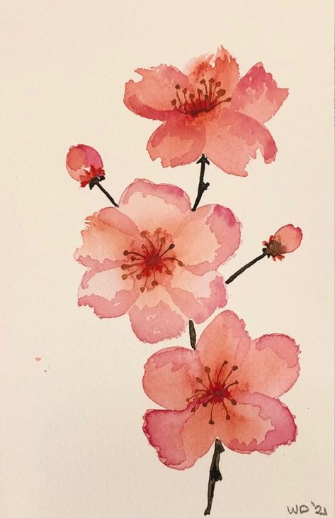 Cherry blossom Aquarelle | Cherry blossom watercolor, Cherry blossom painting, Watercolor flower art Japanese Art Painting Easy, Sakura Branch Painting, Japanese Flowers Drawing Cherry Blossoms, Watercolor Art Cherry Blossom, Painted Cherry Blossoms, Cheery Blossoms Drawing, How To Draw Cherry Blossoms, Watercolour Japan, Cherry Blossom Branch Drawing