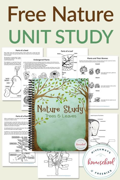 Have fun with this FREE Nature Study with Trees and Leaves Unit that lets you draw, label, color, and more! Upper elementary and middle school students can learn about seeds, plants, leaves, flowers, and more. Homeschool Nature Study, Unit Studies Homeschool, Free Homeschool Curriculum, Homeschool Freebies, Nature School, Free Nature, Homeschool Education, Homeschool Learning, Homeschool Printables