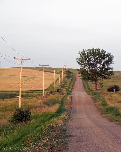 No better way to clear your mind then takin' an old back country road. ♥ Country Lake Aesthetic, Southern Usa Aesthetic, Southern America Aesthetic, Rural America Aesthetic, Farm Aesthetic Country Living, Old Country Aesthetic, Southern Nostalgia, Acnh Countryside, Audrey Core