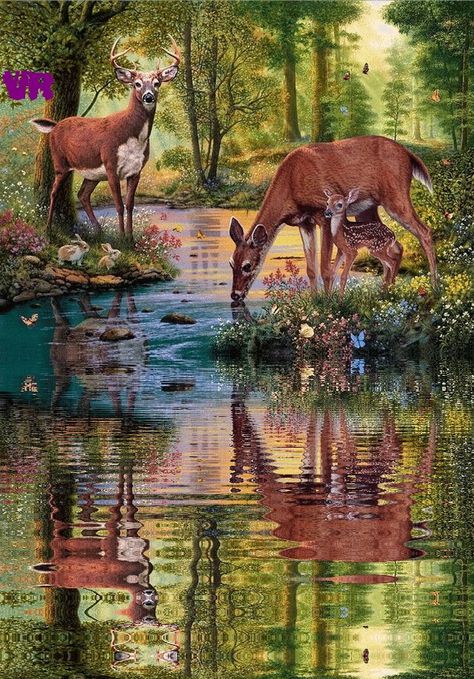 Deer Artwork, Deer Photos, Deer Pictures, Deer Painting, Image Nature, Deer Art, Wildlife Paintings, Airbrush Art, A Deer