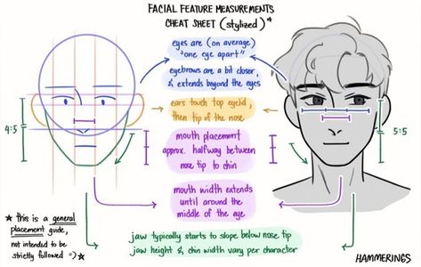 Eye References, Drawing Refrences, Facial Proportions, Face Proportions, Head Anatomy, Drawing Anatomy, Facial Anatomy, Body References, Male Anatomy