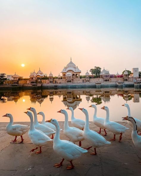 Mathura Vrindavan, Uttar Pradesh, India, On Instagram, Instagram